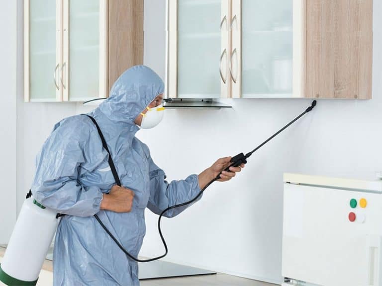 Right Pest Control Company